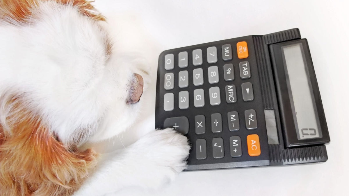 How Much Does Dog Dental Cleaning Cost in Singapore? (2026 Price Guide)