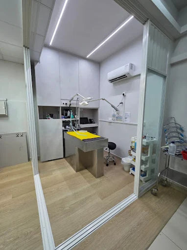 Dog Dental Cleaning In Singapore - Allpets & Aqualife (Dental Table)