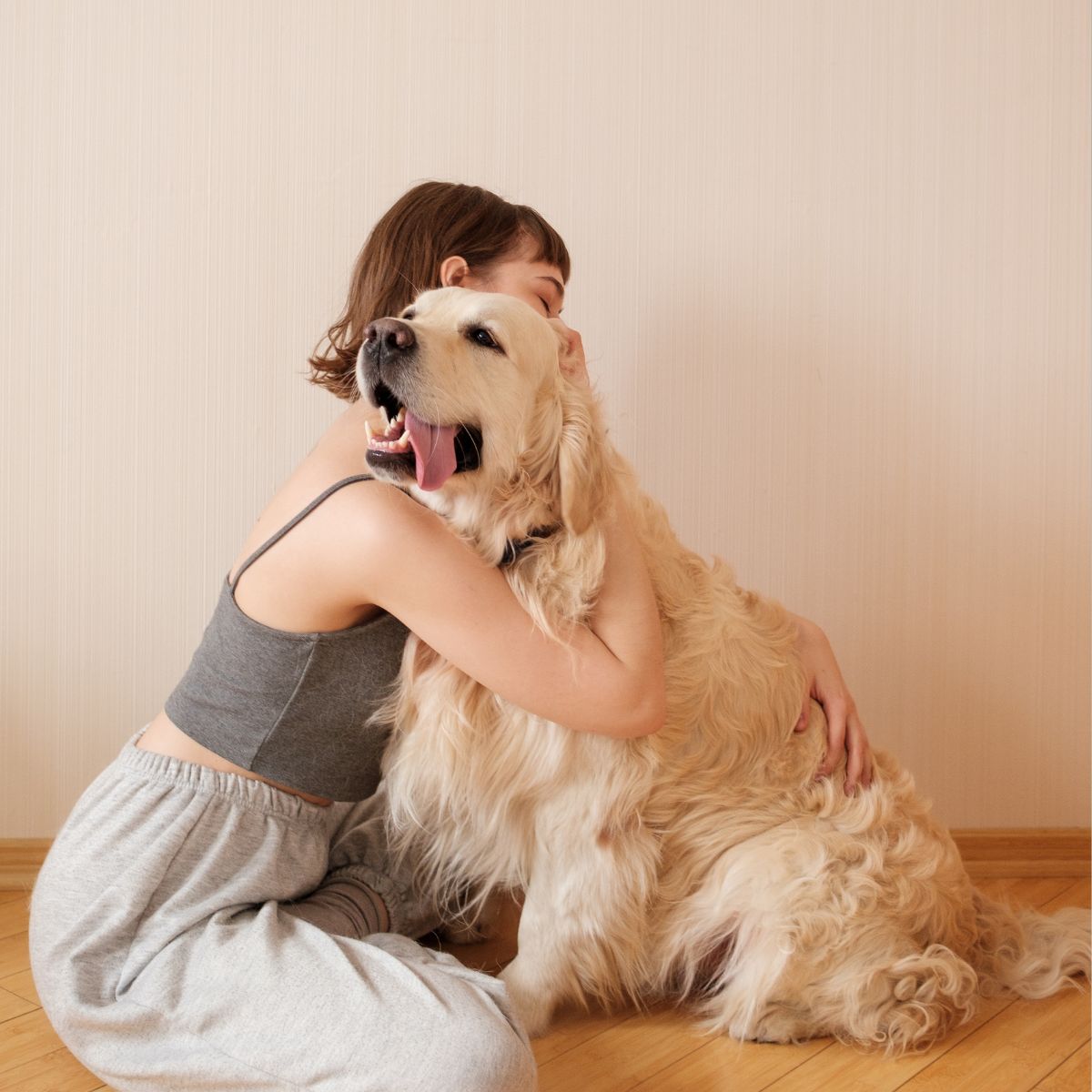 Is Dog Dental Cleaning Under Anaesthesia Safe?